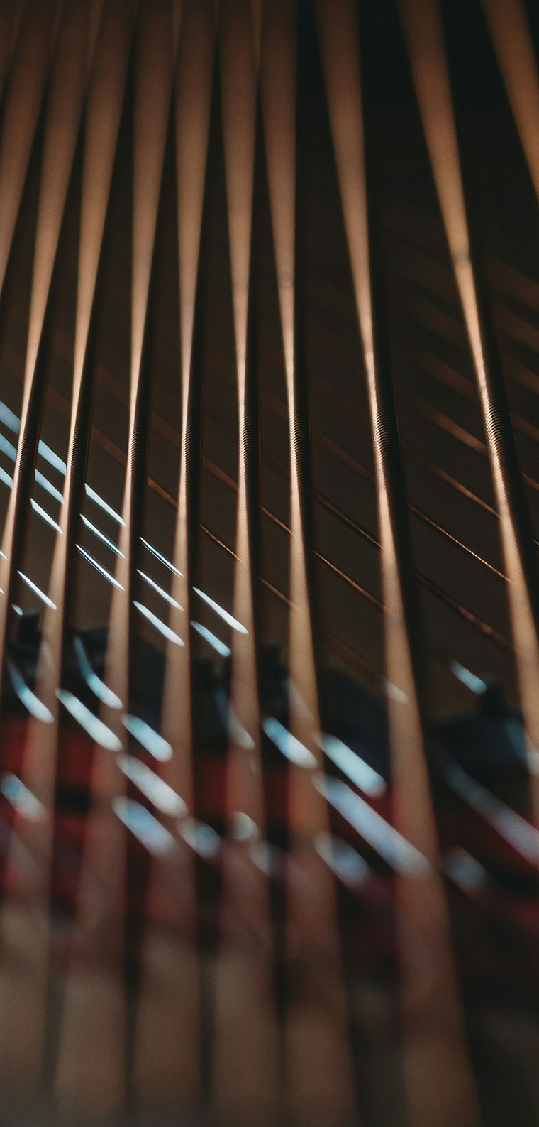 Professional Piano Cleaning Service in Green Bay